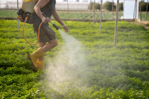 Best Mosquito Control Services  in Gadsden, AL