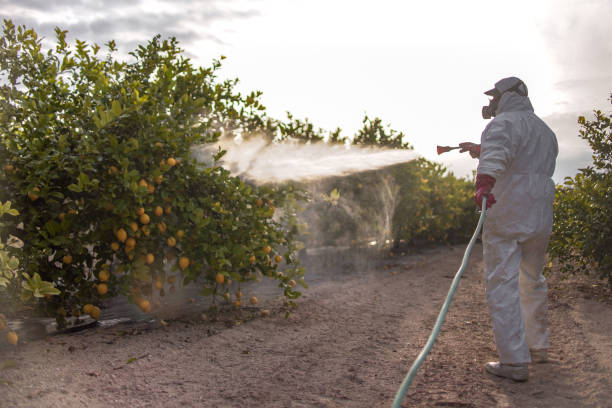 Best Commercial Pest Control Services  in Gadsden, AL
