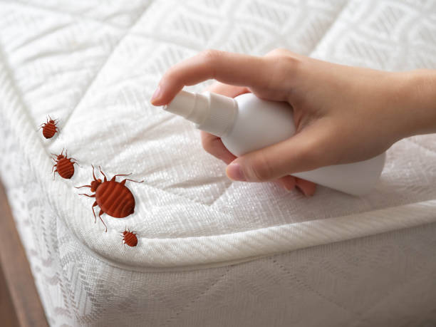 Best Pest Control for Homes  in Gadsden, AL