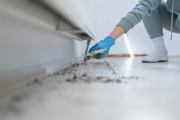 Best Residential Pest Control  in Gadsden, AL